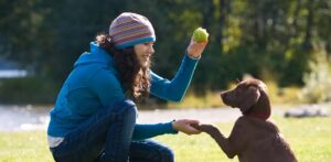 Köpek Eğitiminde Uygulanan Yöntemler ve Köpek Sahiplerine Öneriler