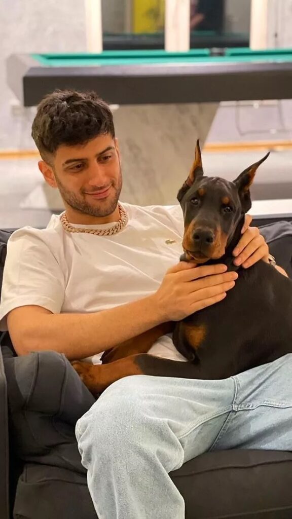 Doberman: Temperament, Care, Training Needs and the Deep Bond They Build With Their Owners