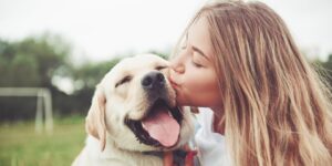  Köpeklerin Mutlu ve Sağlıklı Bir Hayat Sürmesi