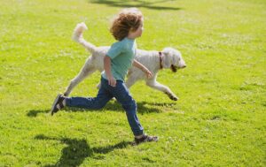 Çocuklara Köpeklerle Bilinçli İletişim: Güvenli ve Sevgi Dolu Yaklaşımlar