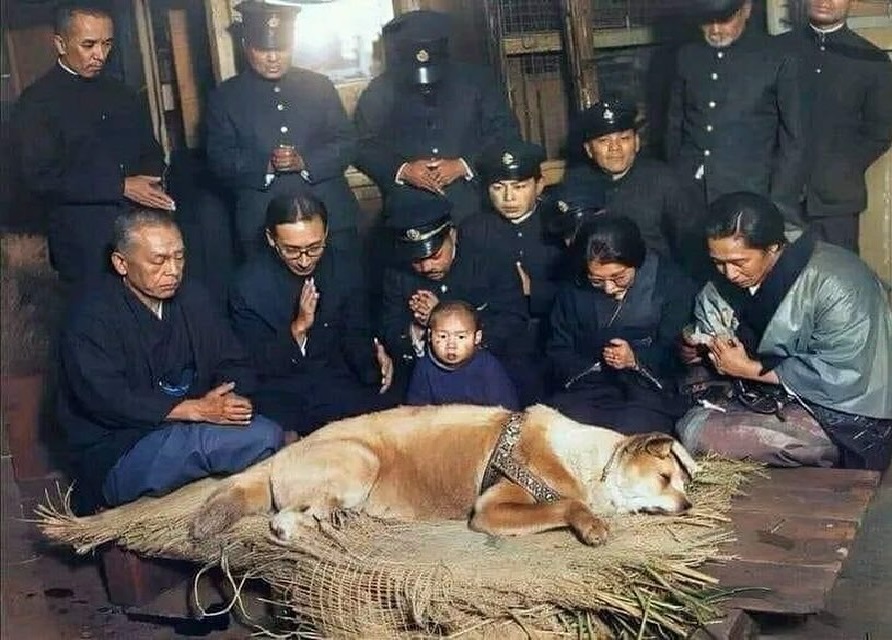 Hachiko: Sadakatin Sembolü