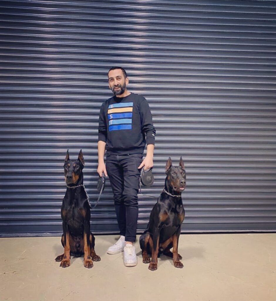 Doberman: Temperament, Care, Training Needs and the Deep Bond They Build With Their Owners